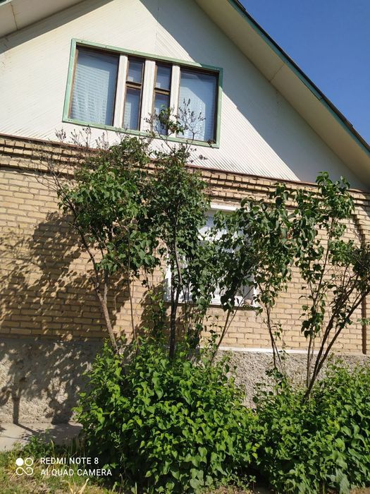 Продам дачу в горах Узбекистана