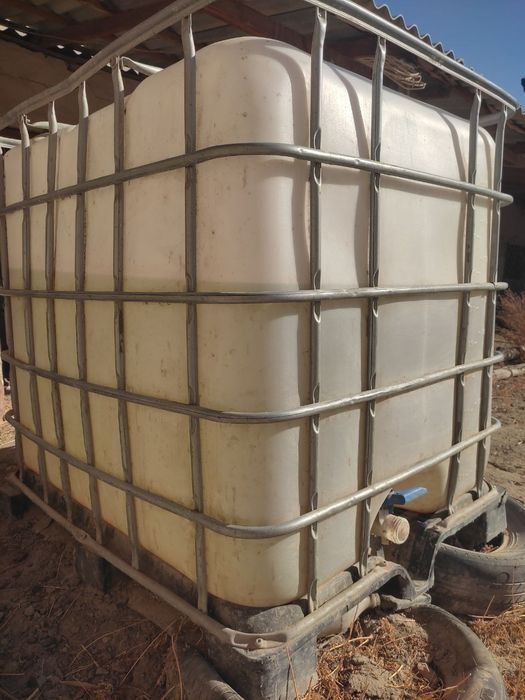 Антимароз, antimaroz