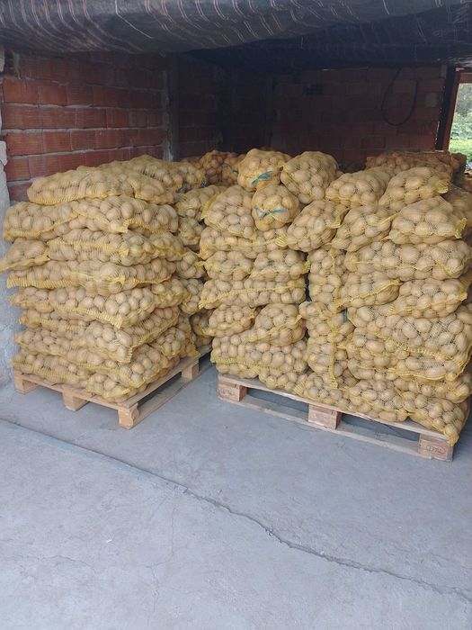 Картофи За Семе Клас А
