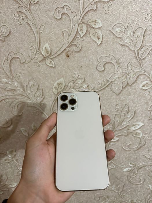 12  про макс ………