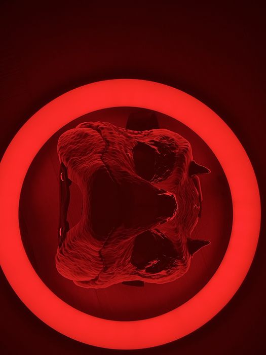 маска раптора, фурри