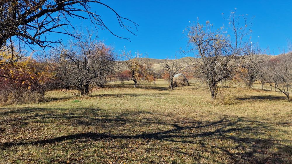Vând teren intravilan 8000 m²