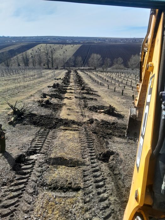 Buldoexcavator de inchiriat,prestări servicii