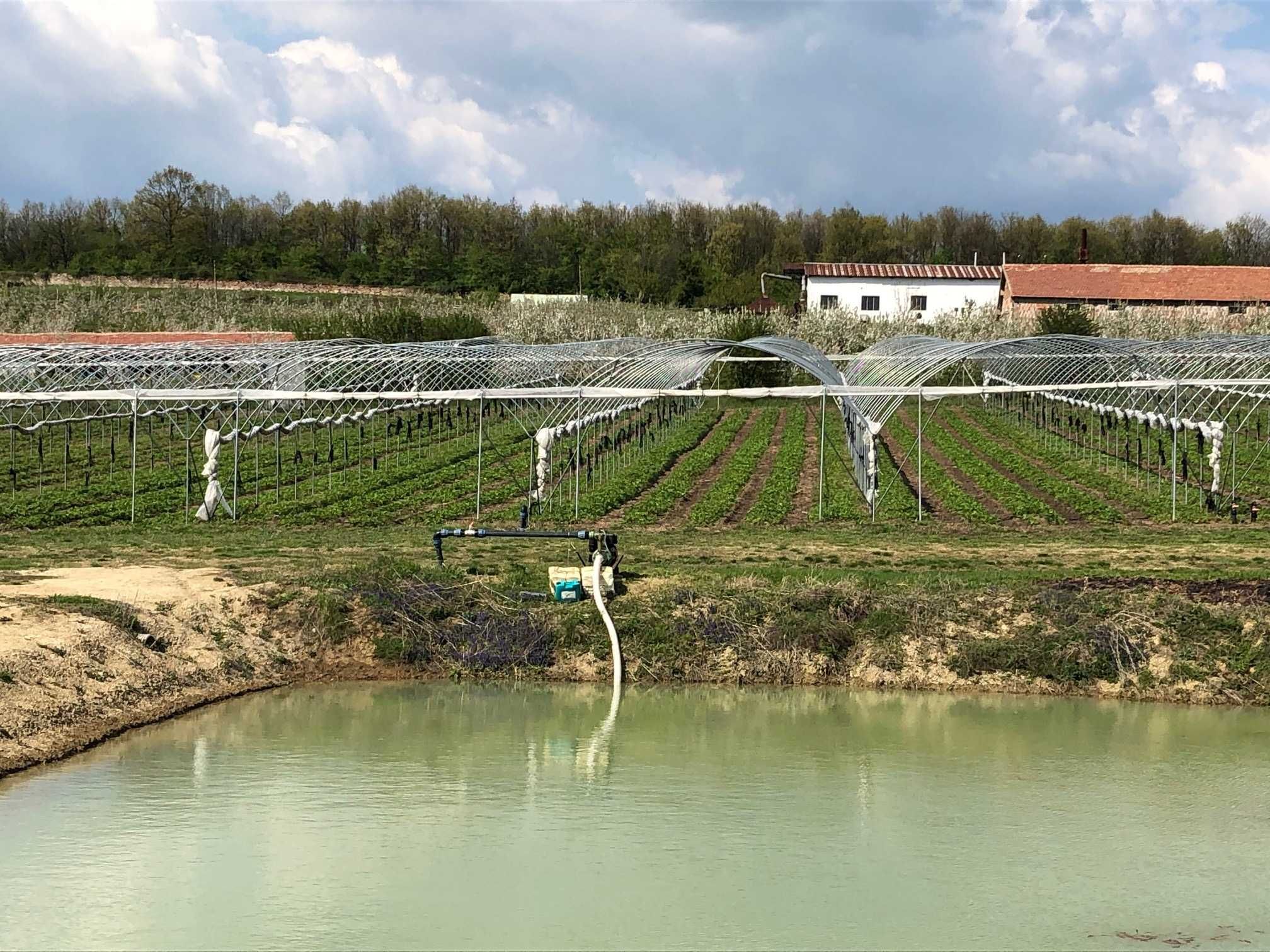 Продавам земеделско стопанство с прилежащи земи, оранжерии и техника