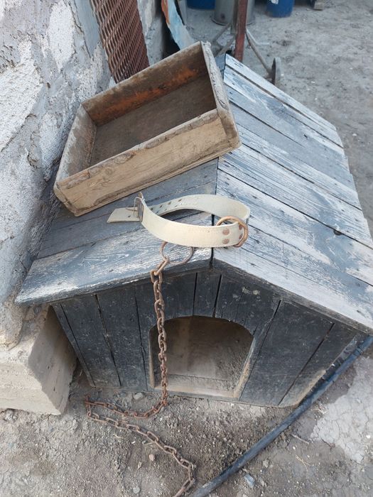 Итке арналған ағаш үйшік итаяғы қарғы бауы шыншырымен