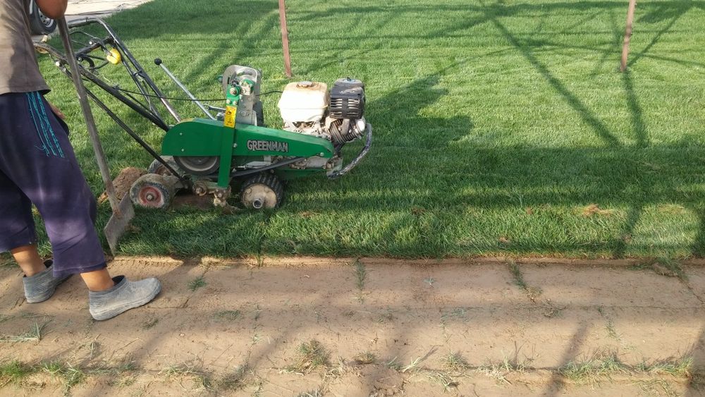 Газон экамиз рулонный хам ёткизамиз