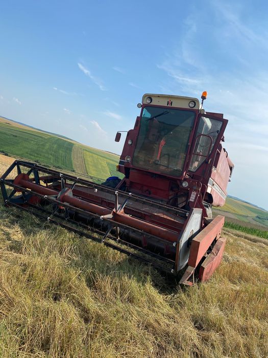 Vând mânză semigrea