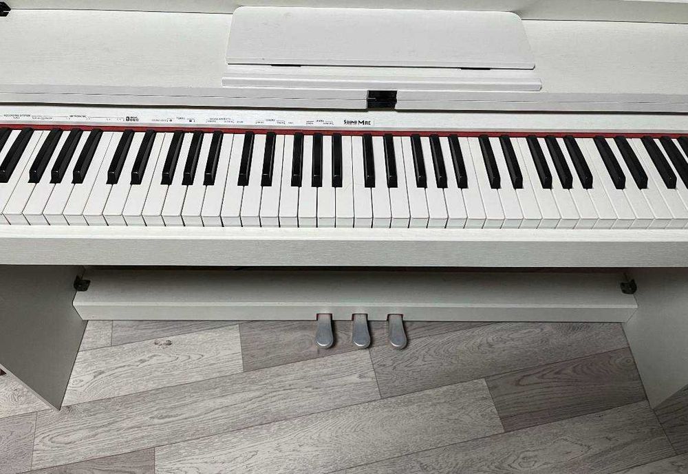 пианино ( профисеональный)