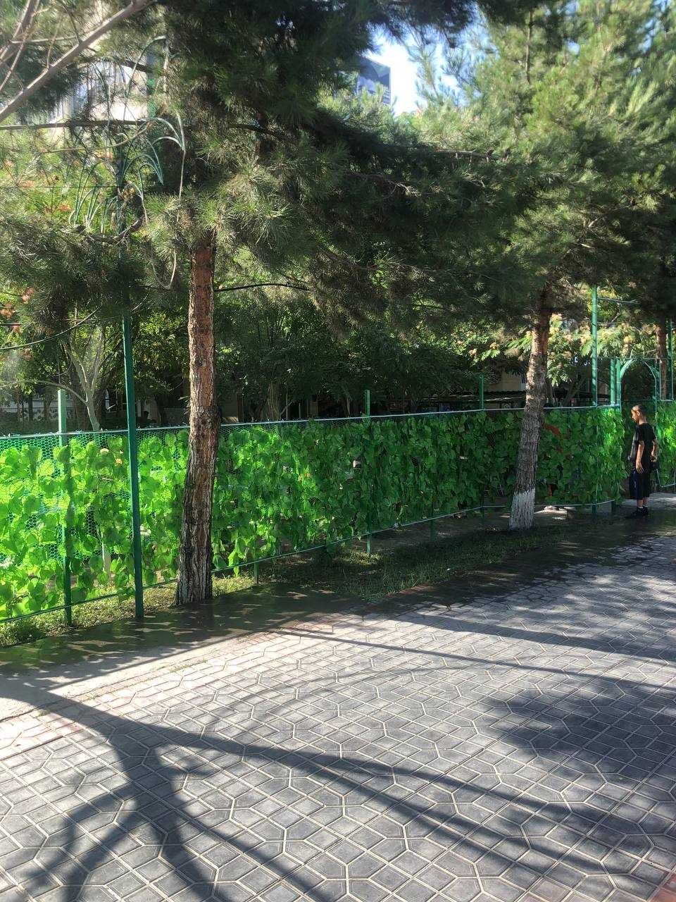 Tandir somsa tayyorlovchi va sotuvchi