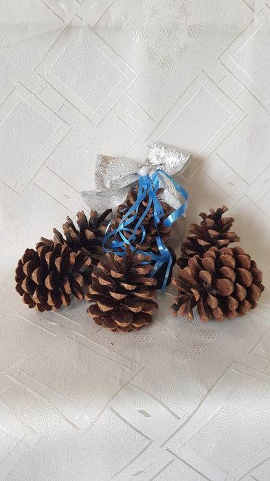 Шишарки за декорация и арт композиции