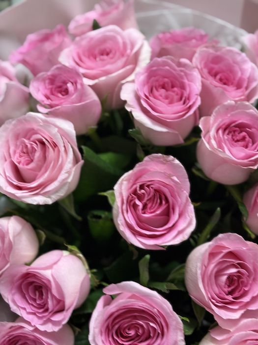 Гүл түркістан