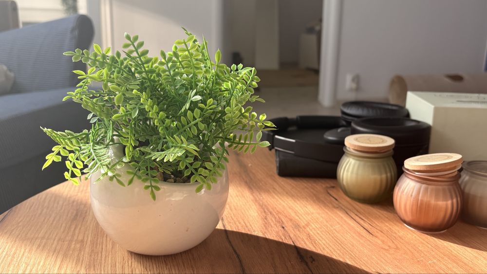 Planta Artificiala Mica – Ghiveci Alb Ceramic, Stil Modern “Pepco”