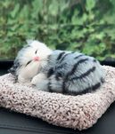 Спящие котёнок для Авто Антистресс – ПОДАРКА