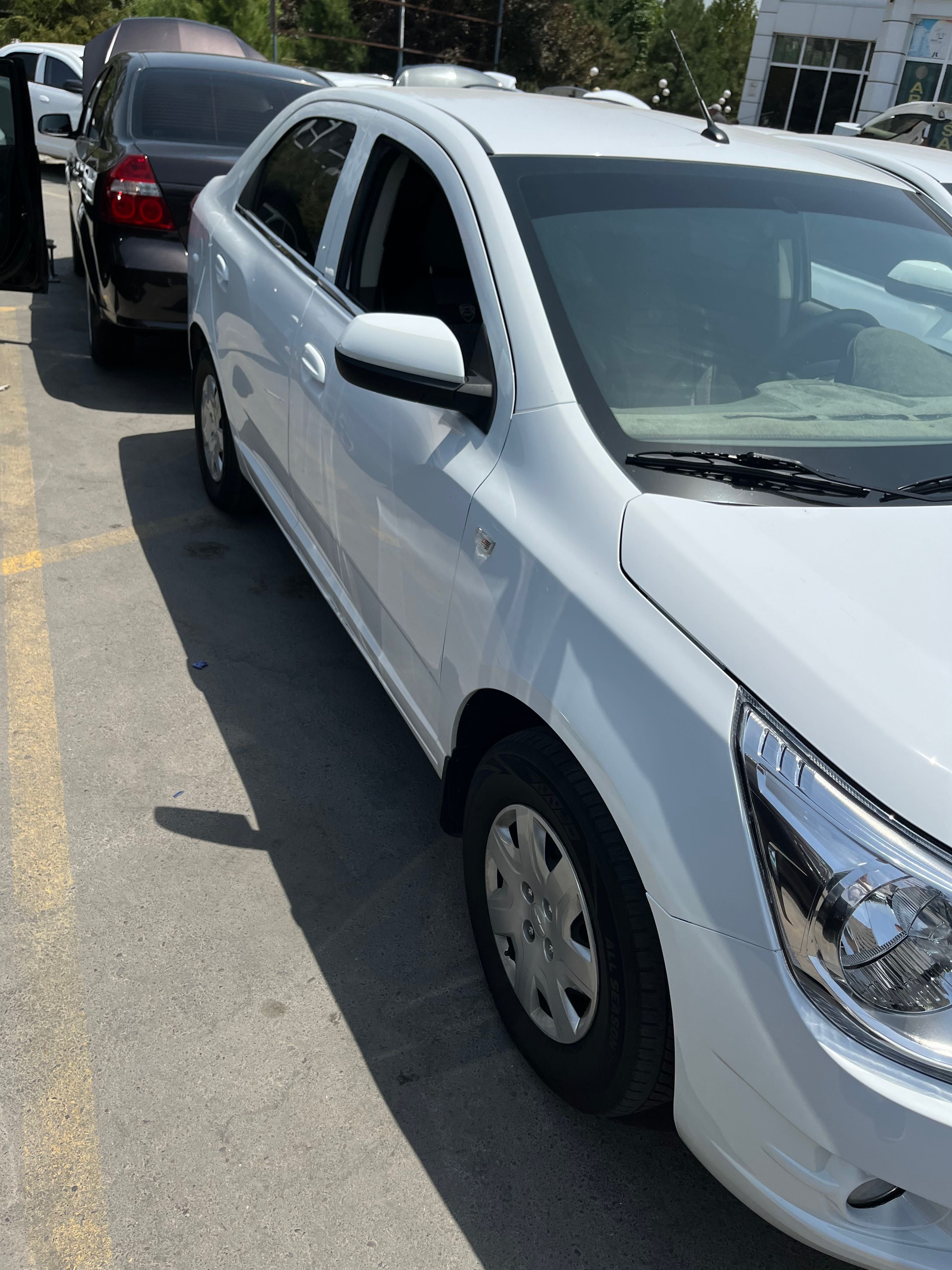 Cobalt full pozitsiya 2023 metan