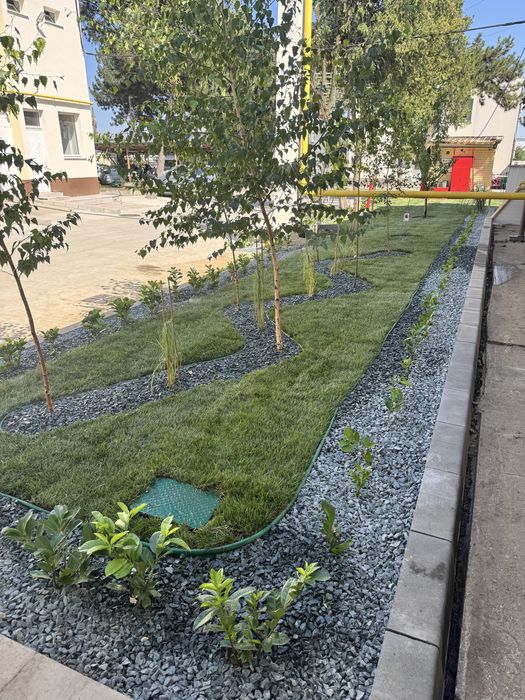 Plante, flori, amenajări spati verzi,sisteme irigatie,gazon Rebegarden