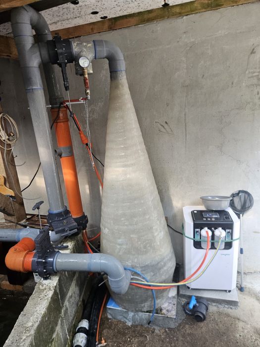 Con oxigen piscicultura,cresterea pastravului,puiet pastrav,crap