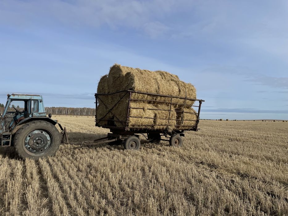 Прдам салому рулон 200-250кг