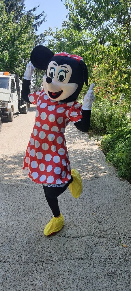 Costume Mickey și Minnie