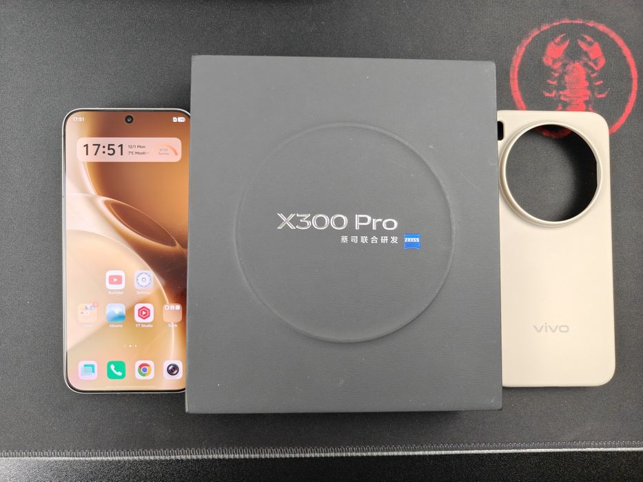 VIVO X300 Pro 12/256