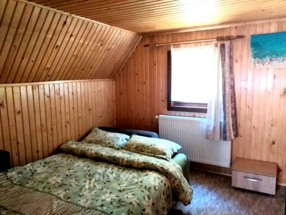 Cabana Pin de inchiriat