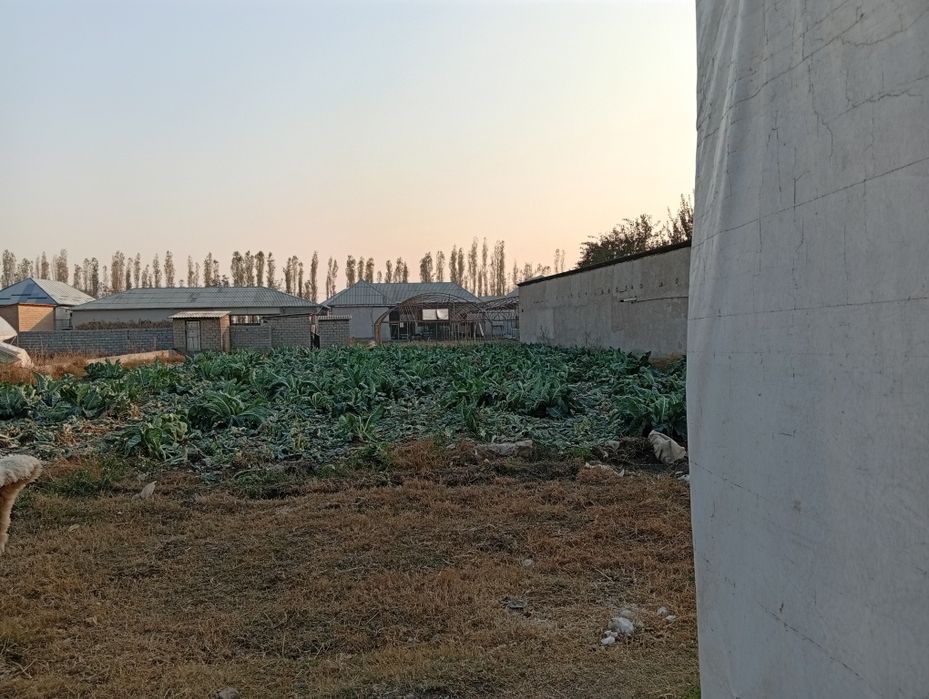 12 sotx uchastka sotiladi