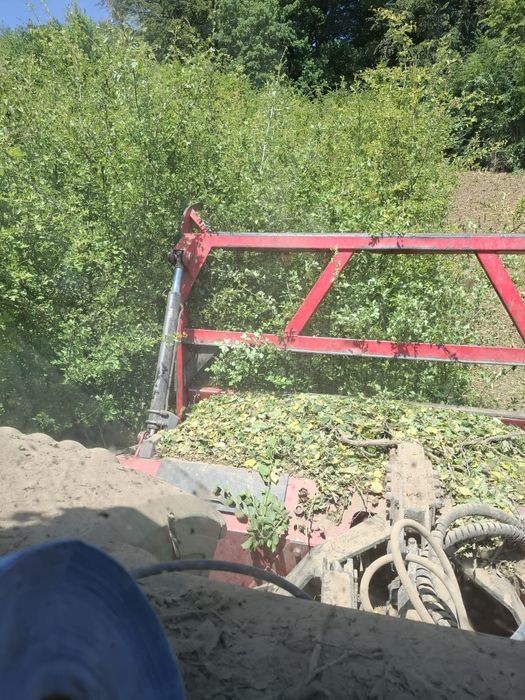 Defrișări și întreținere pășunat