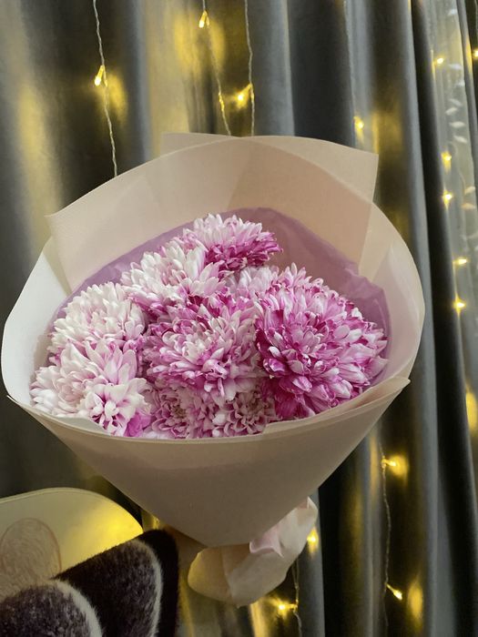 срочно продам цветы ге дорого