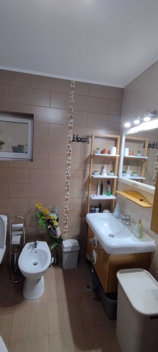 Casa Geamana Bradu, 466 mp teren