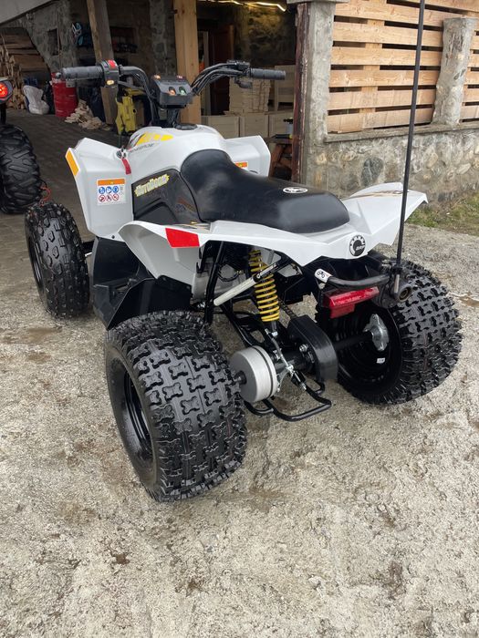 Atv Can Am Renegade 110 Atv Copii