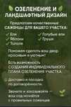 Саженцы для вашего участка