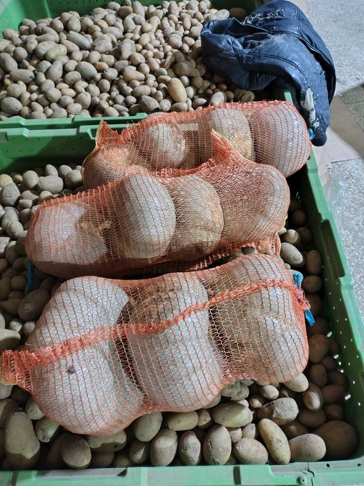 Dovleac de copt sau plăcintă