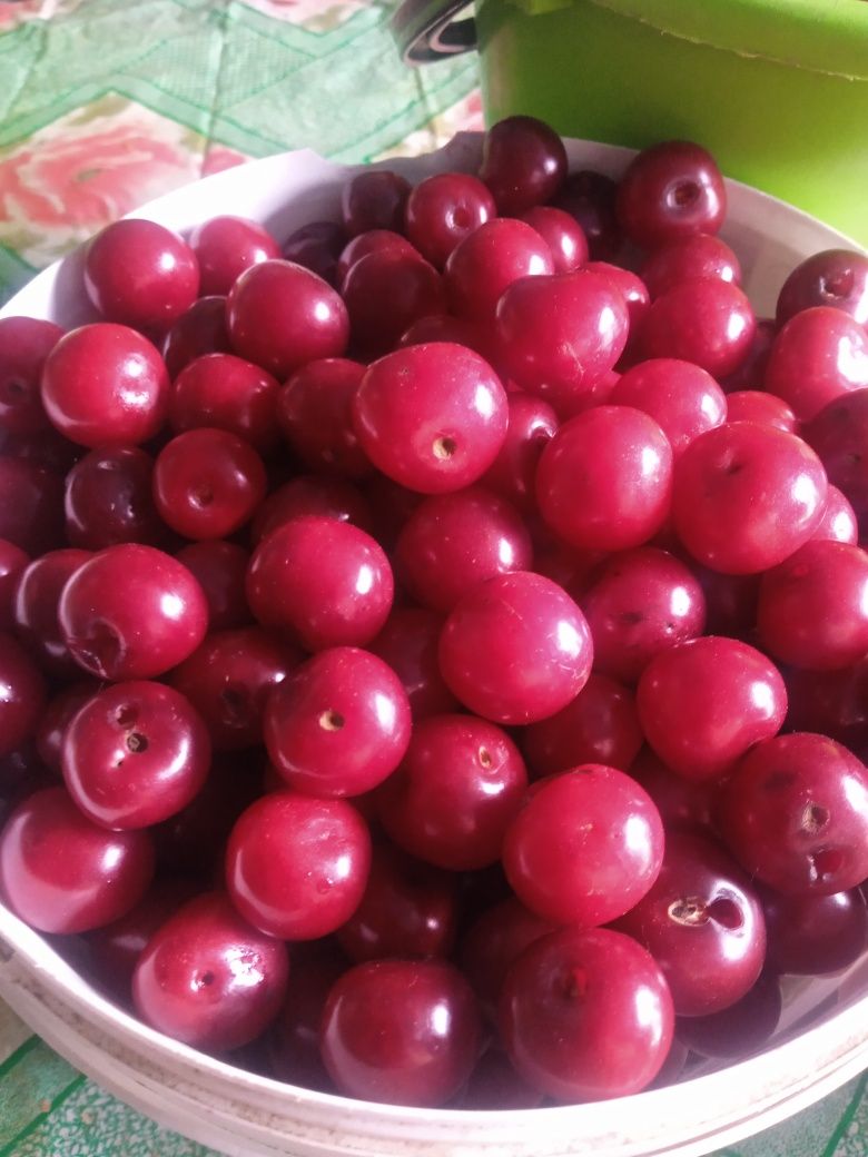 Продам вишню крупная сочная