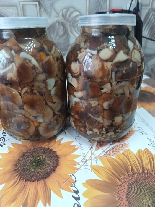 Грибы маринованные