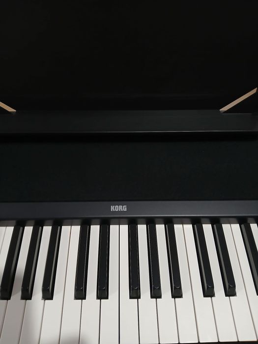 Vand Korg B2 pian