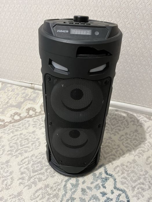 Калонка с микрофоном