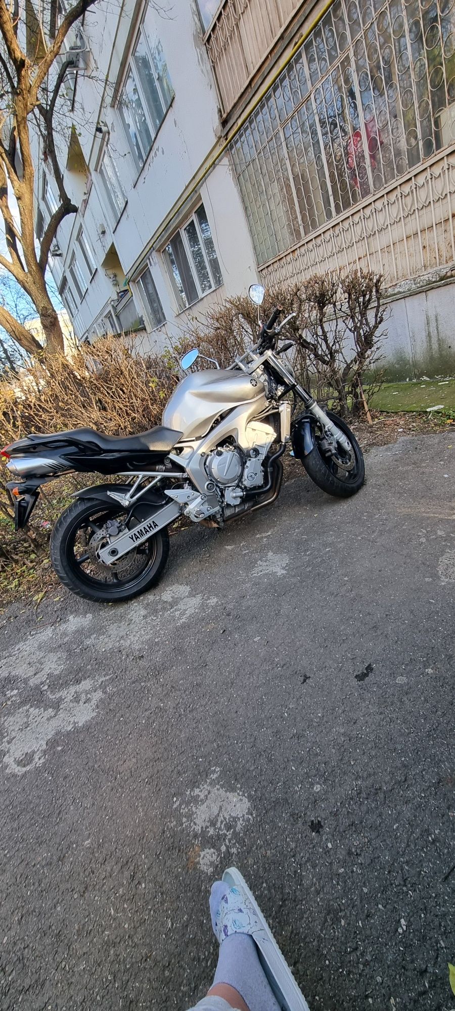 Yamaha fz6 2007 naked