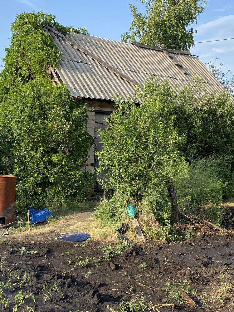 Дача в садоводческом обществе Ромашка