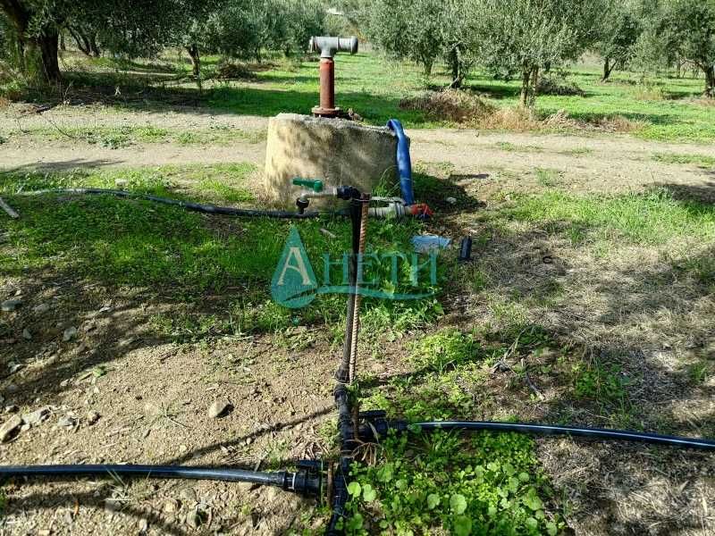 Парцел 2500м2+119маслинови дървета Волви Аспровалта Гърция, полив.с-ма