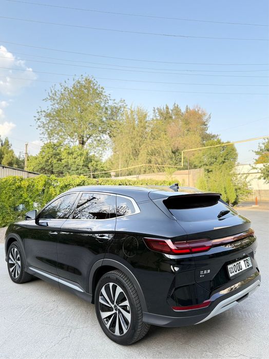 Byd Champion full 605