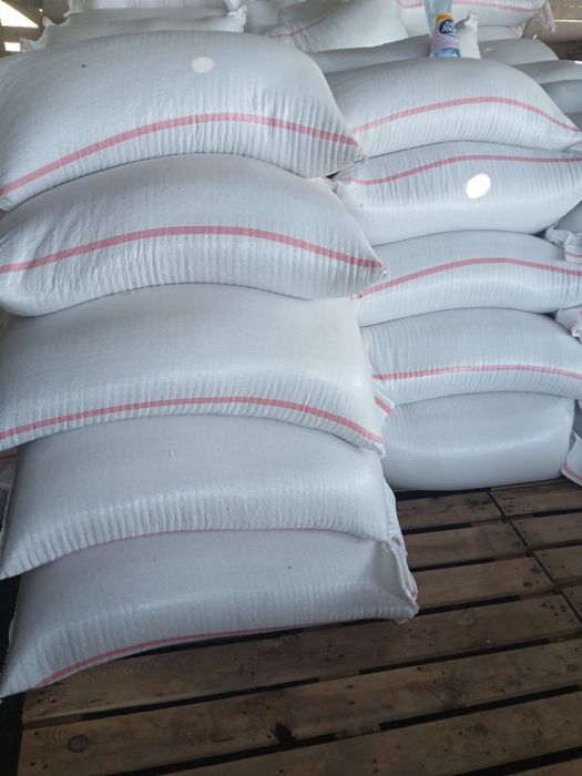 Grau Anapurna si Rubisko 2025