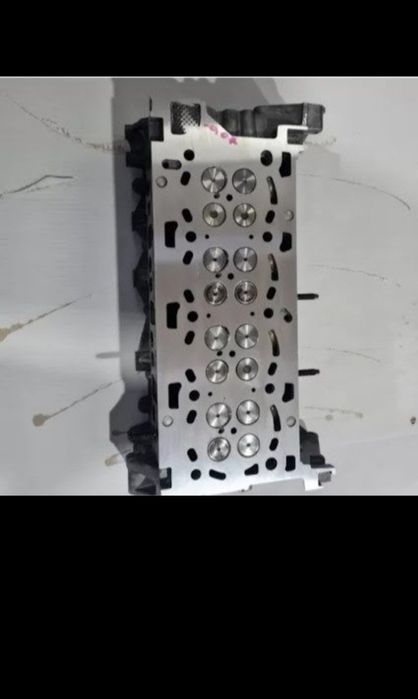 Chiuloasă Renault 2.0 dci