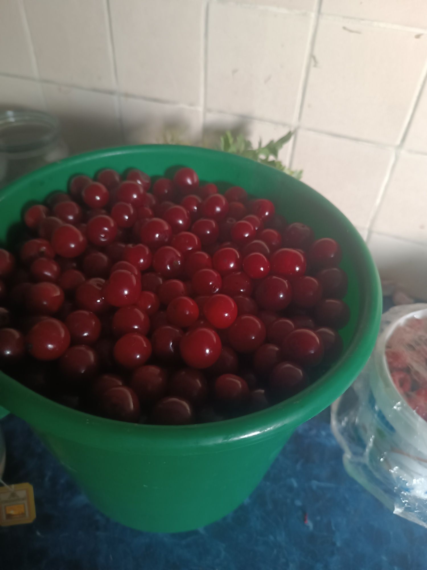 Продам вишню домашняя