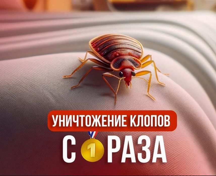 Дезинфекция! Обработка от клопов и тараканов, муравьёв, блох и т.д