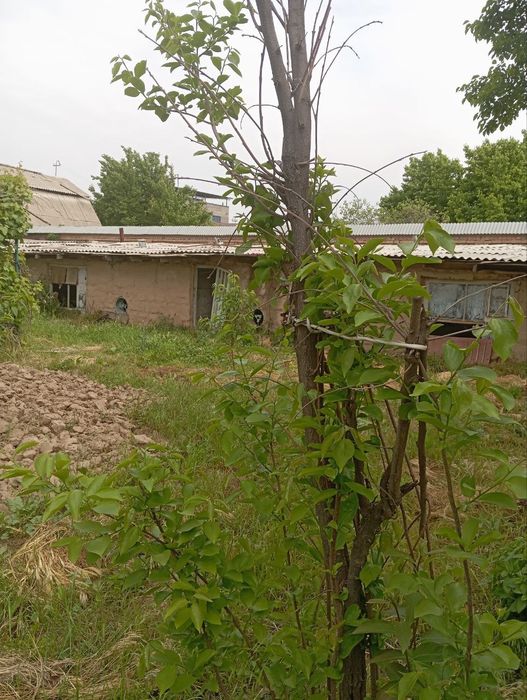 Продается земельный участок.