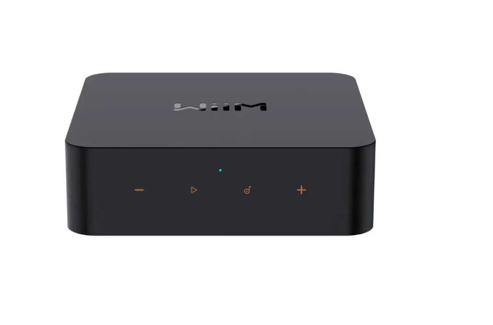 Audio Streamer Wiim PRO Plus