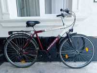 MC Kenzie 28 Germany velosipedi