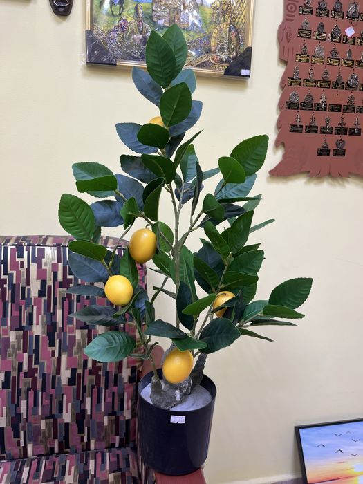 Искуственное лимонное дерево