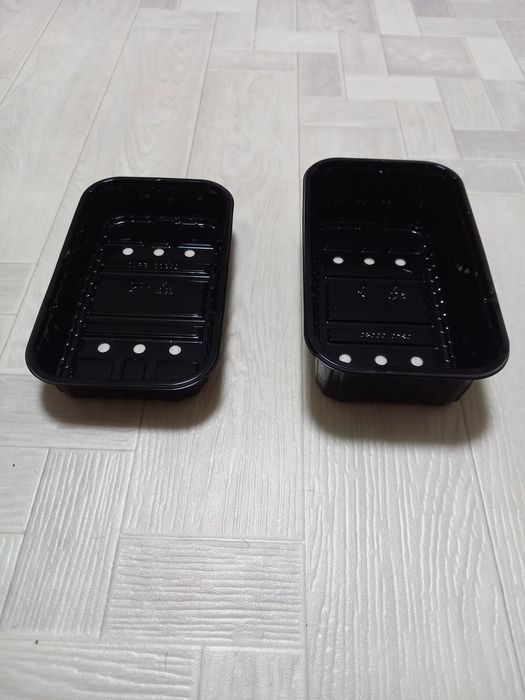 Боксы, агровата для выращивания микрозелени