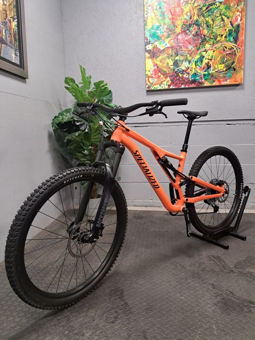 Specialized stumpjumper alloy L size