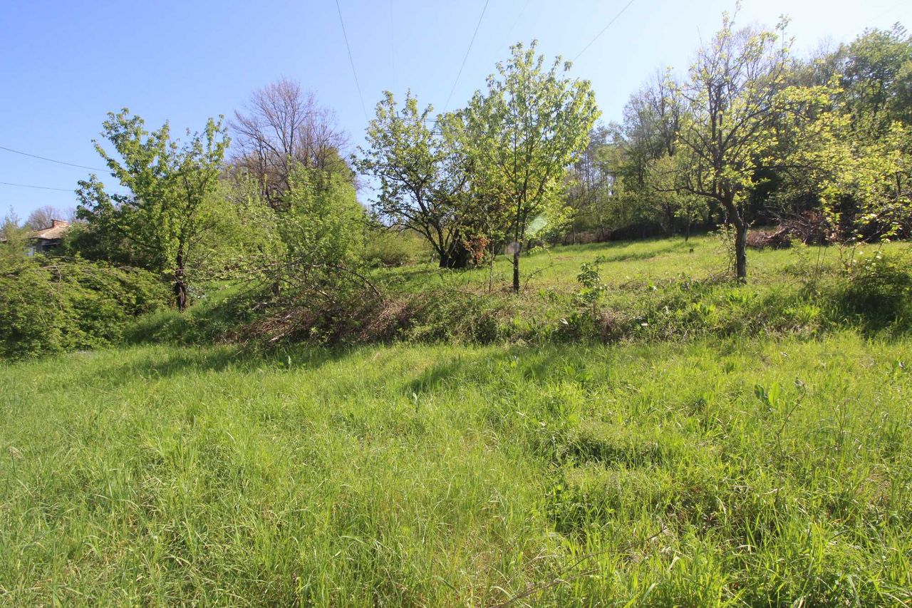 Продава се Земеделски имот в Габрово, Бичкиня -  кв.м за 5 €/дка - Снимка #4